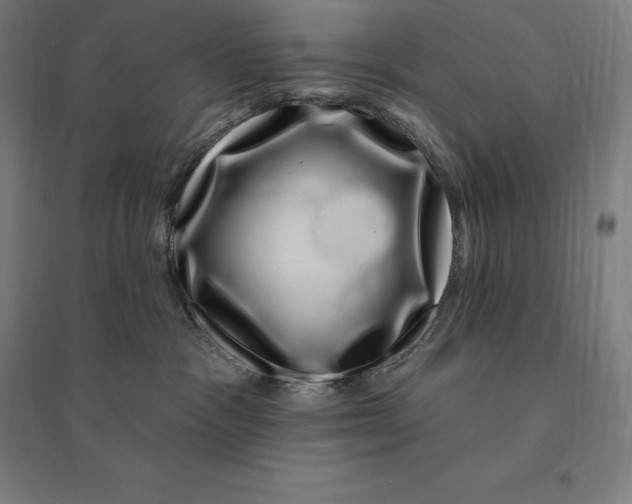 X0000095130333200712301830