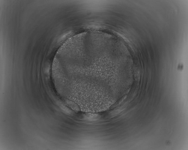 X0000095130334200712301830