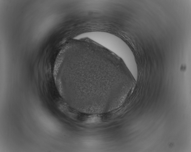 X0000095130335200712301830