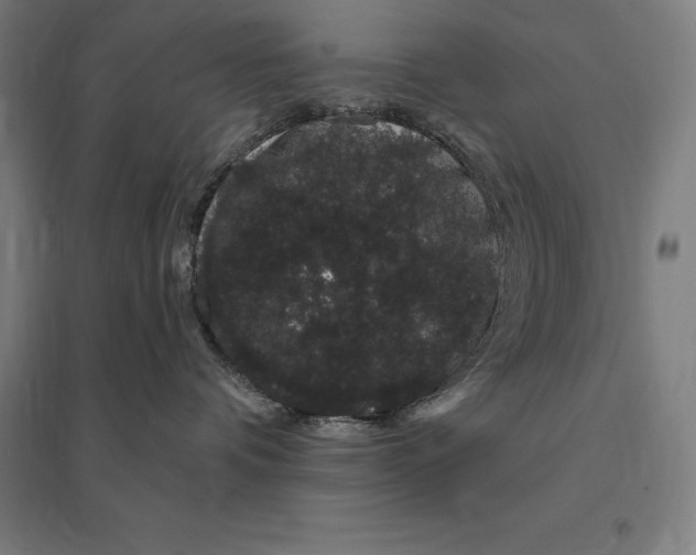 X0000095130336200712301830