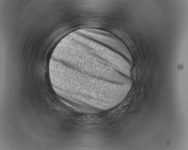 X0000095130338200712301829