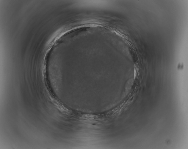 X0000095130339200712301829