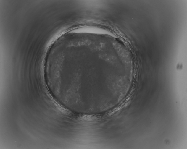 X0000095130341200712301829