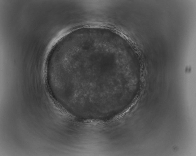 X0000095130343200712301829