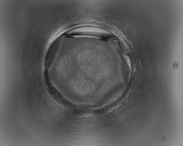 X0000095130344200712301829