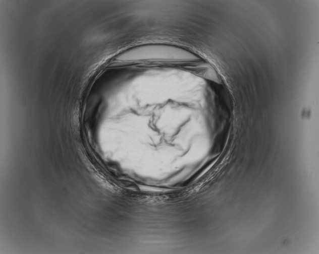 X0000095130345200712301829