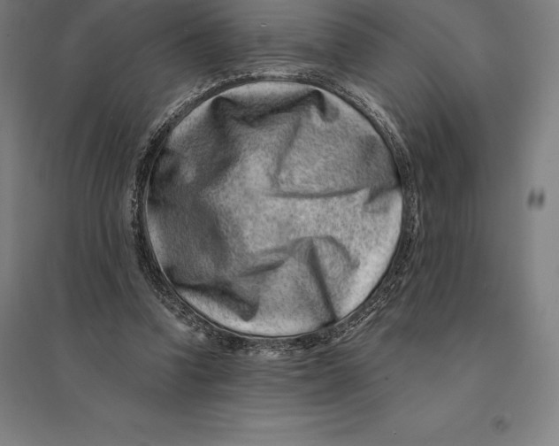 X0000095130346200712301829