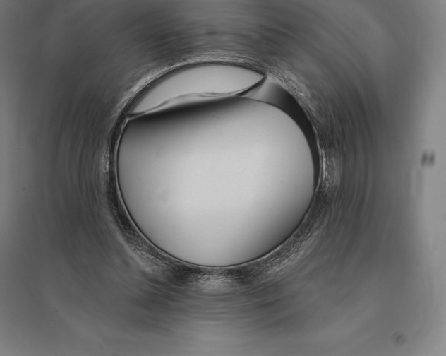 X0000095130348200712301829