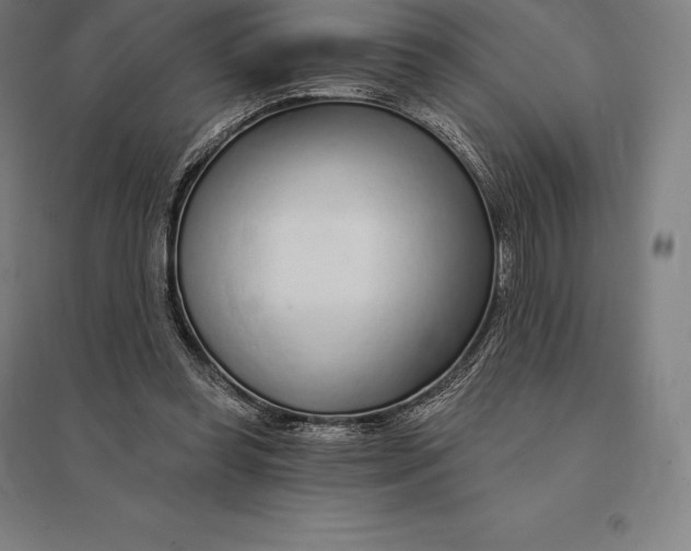 X0000095130349200712301829