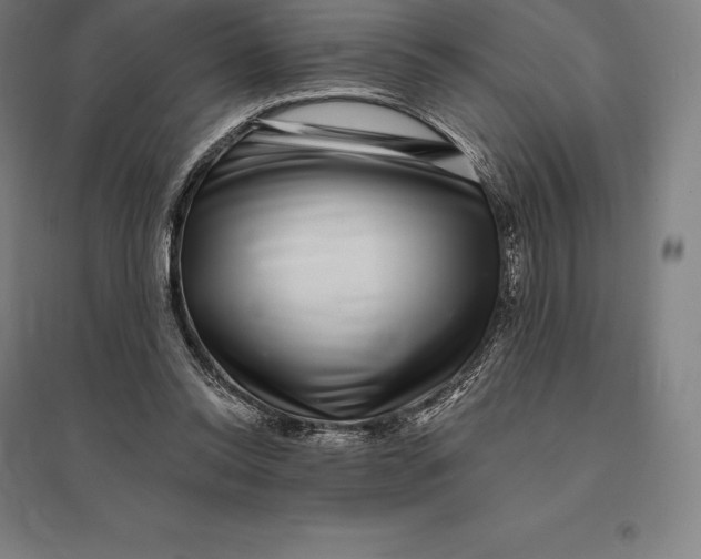 X0000095130350200712301829