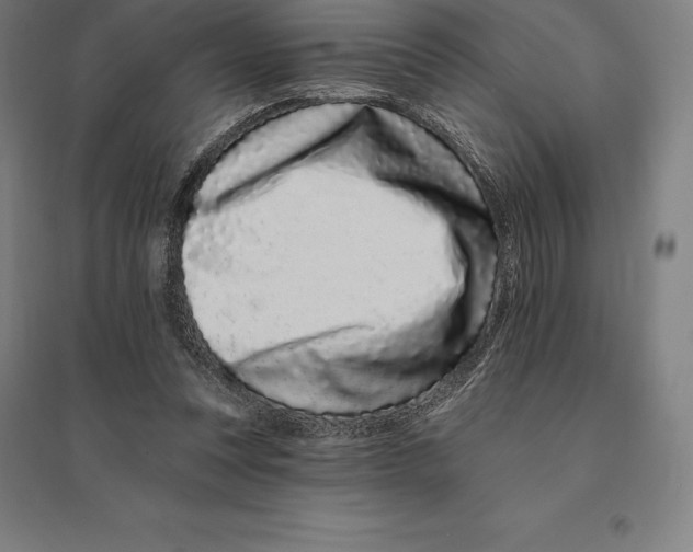 X0000095130351200712301829