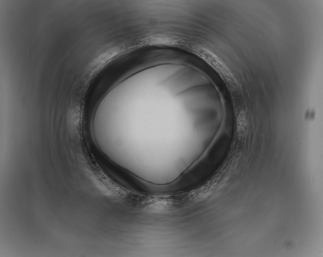 X0000095130352200712301829