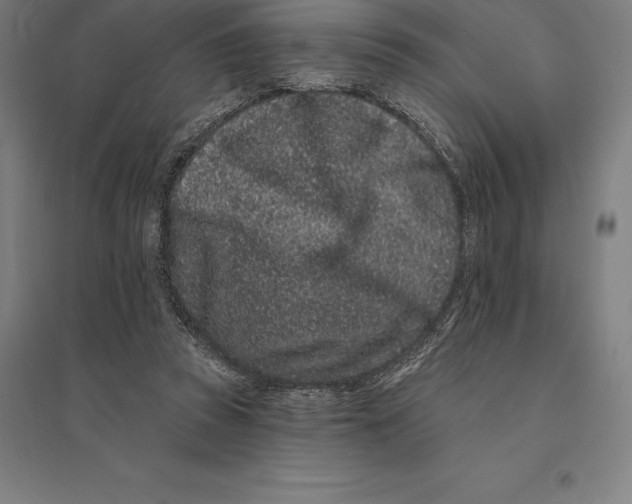 X0000095130353200712301829