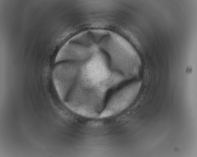 X0000095130354200712301829