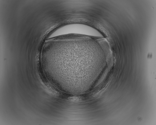 X0000095130356200712301830