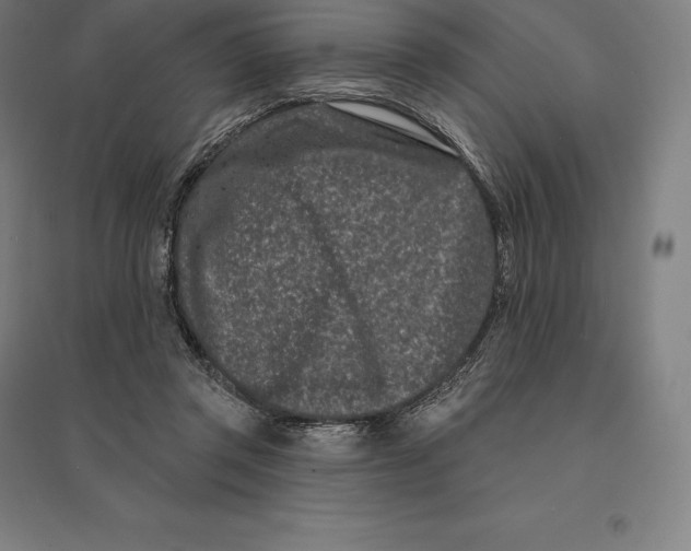 X0000095130357200712301830