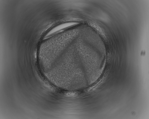 X0000095130358200712301830