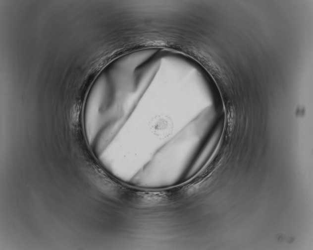 X0000095130359200712301830