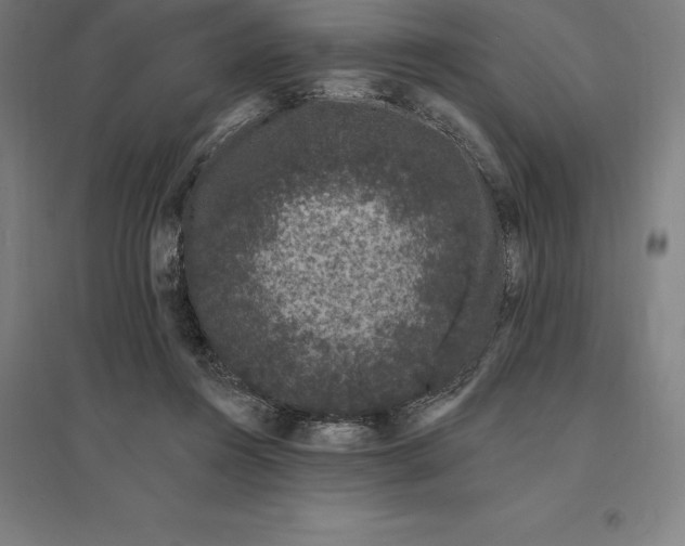 X0000095130360200712301830