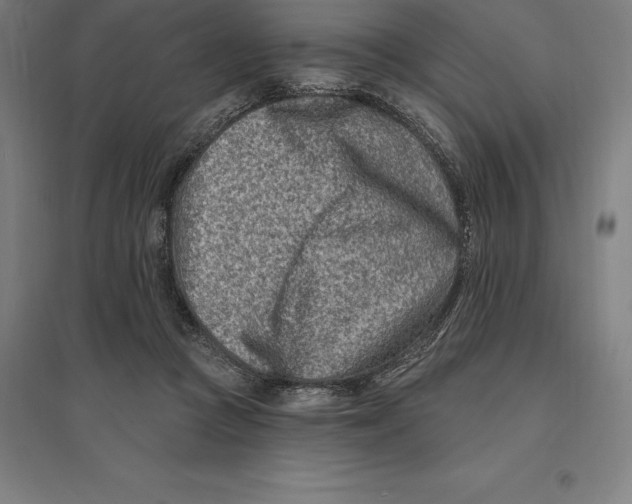 X0000095130361200712301830