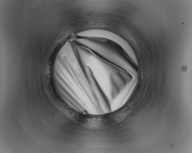 X0000095130362200712301830