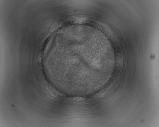 X0000095130363200712301830