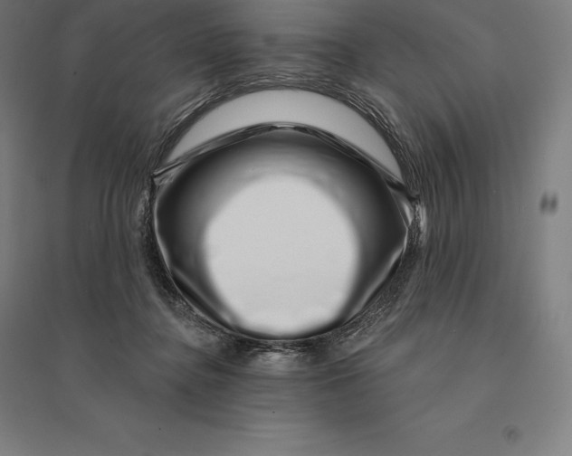 X0000095130364200712301830