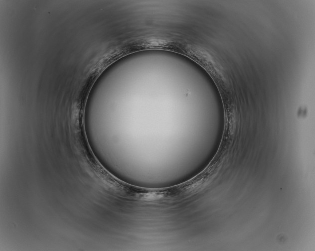 X0000095130366200712301830