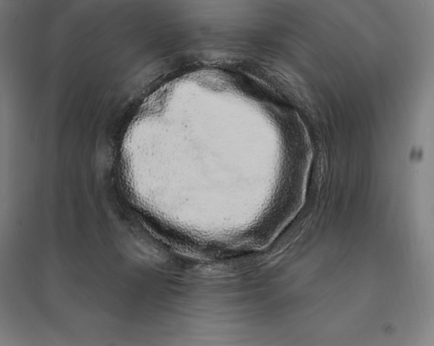 X0000095130367200712301830