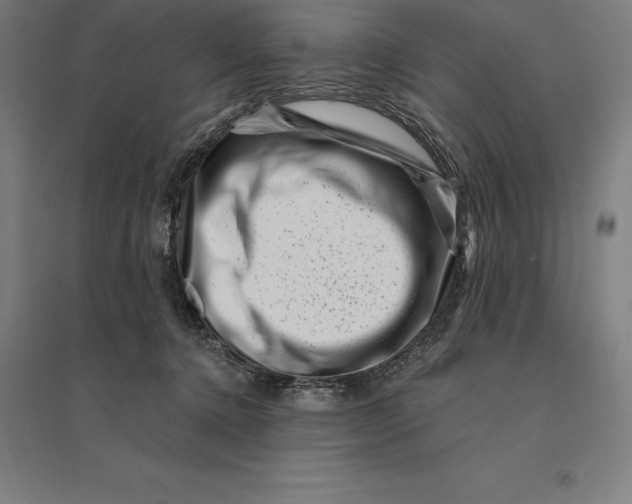 X0000095130368200712301830