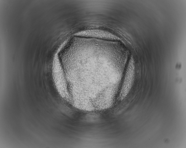 X0000095130369200712301830