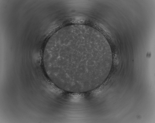 X0000095130370200712301830