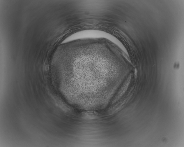 X0000095130372200712301830