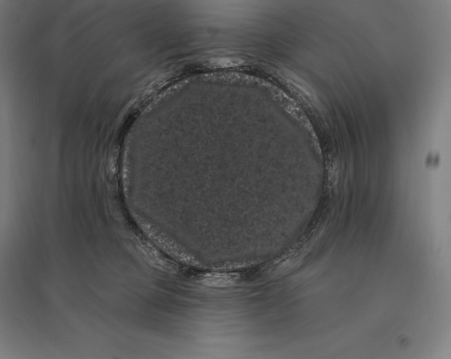 X0000095130373200712301830