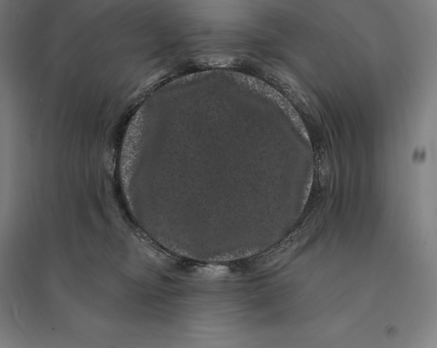 X0000095130374200712301830