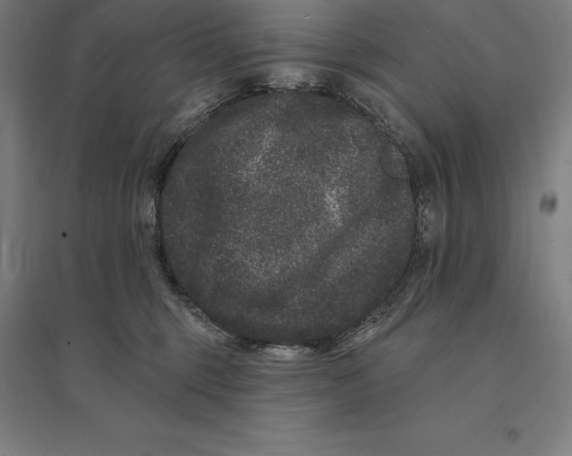 X0000095130375200712301830