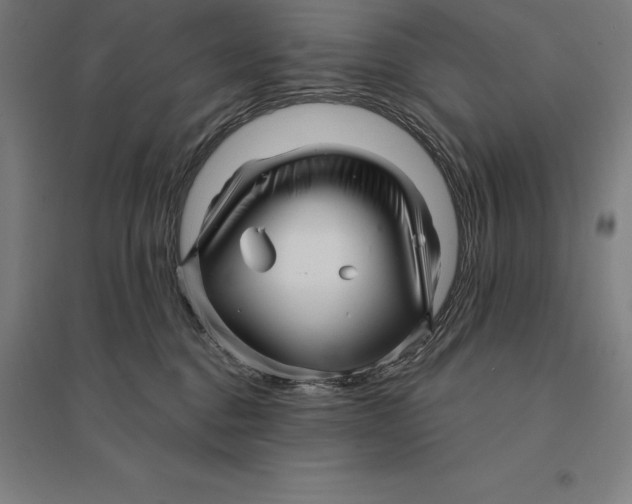 X0000095130376200712301830