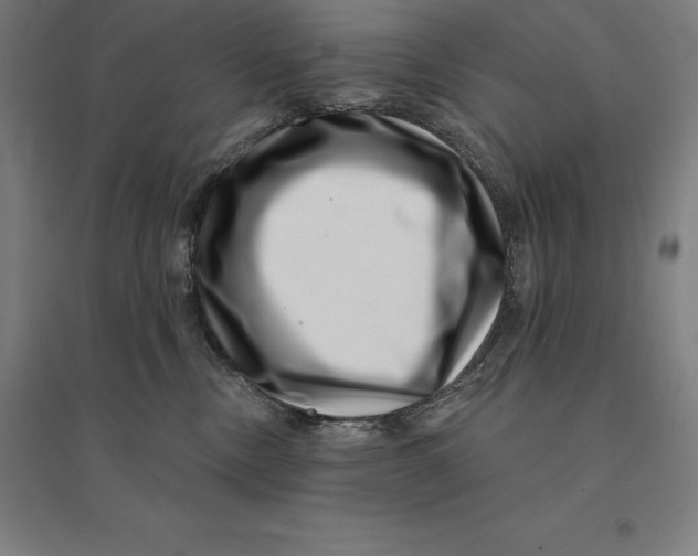 X0000095130378200712301830