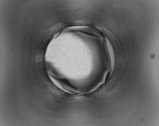 X0000095130379200712301830