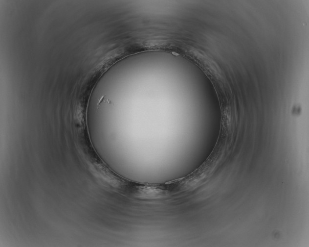 X0000095130380200712301830