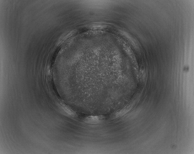 X0000095130381200712301830