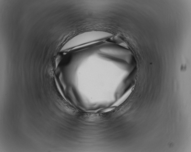 X0000095130384200712301830