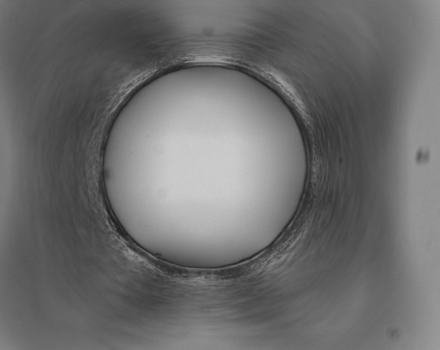 X0000095130385200712301829