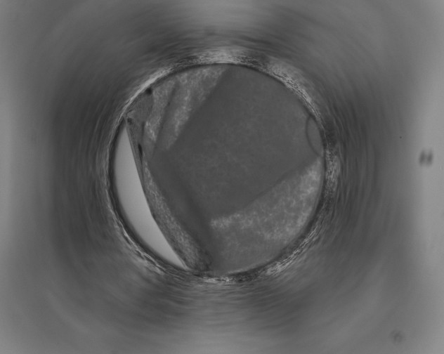 X0000095130386200712301829