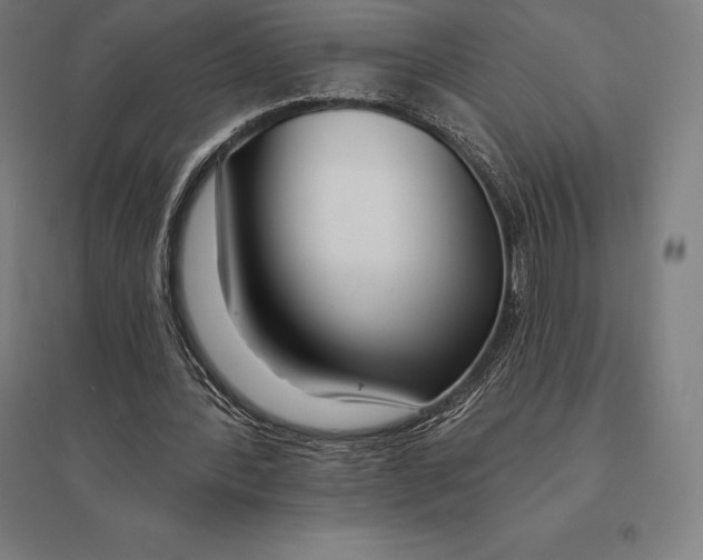 X0000095130388200712301829