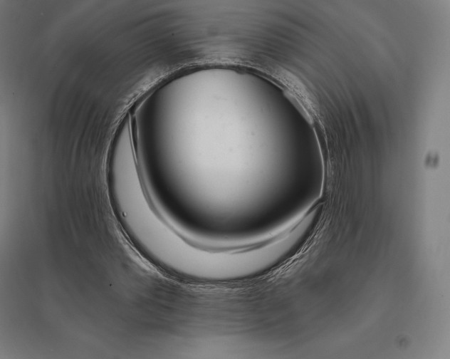 X0000095130389200712301829