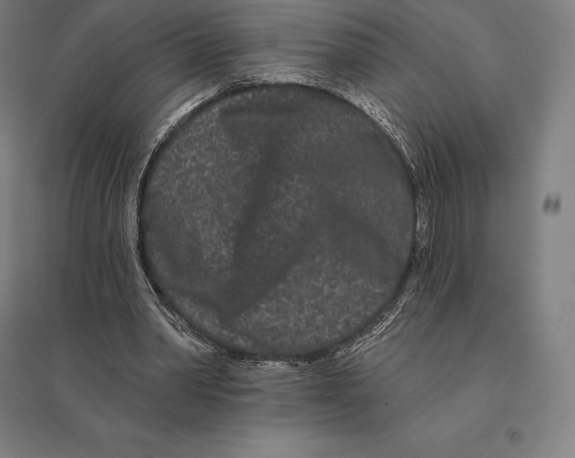 X0000095130390200712301829