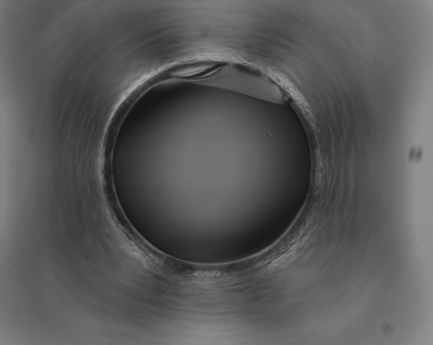 X0000095130391200712301829