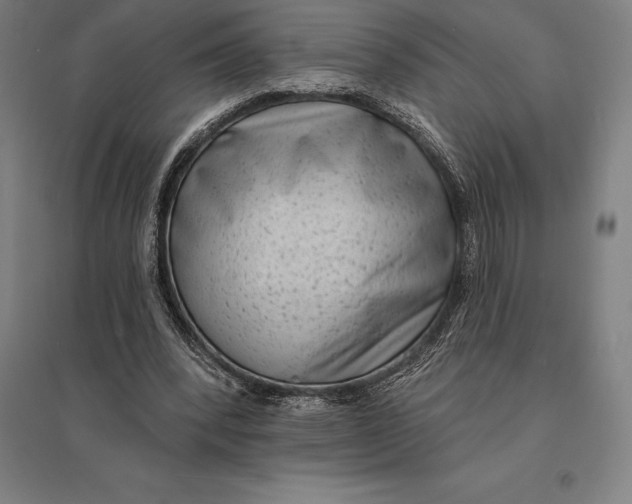 X0000095130392200712301829