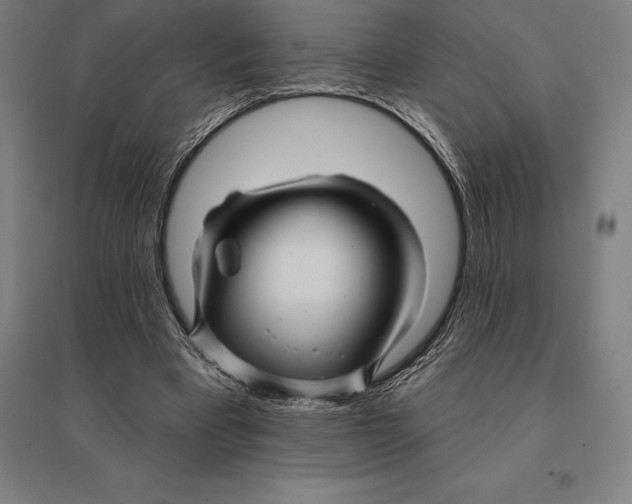 X0000095130393200712301829